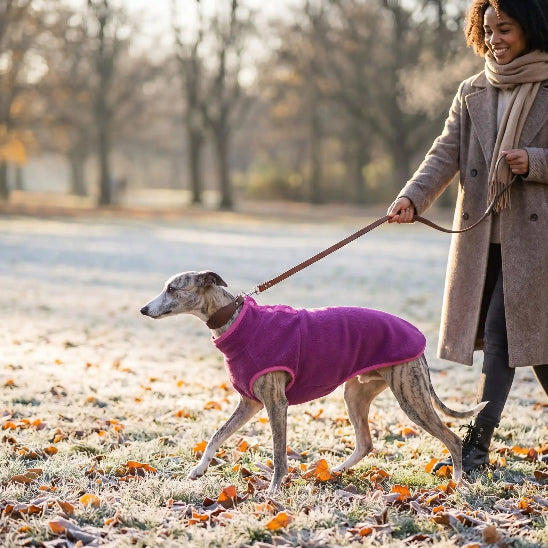 femme promenade whippet dans neige avec manteau chien rose