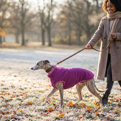 femme promenade whippet dans neige avec manteau chien rose