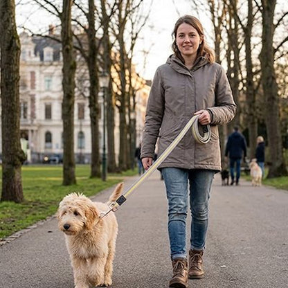 femme promenant chien laisse chien rayure jaune dans parc hiver