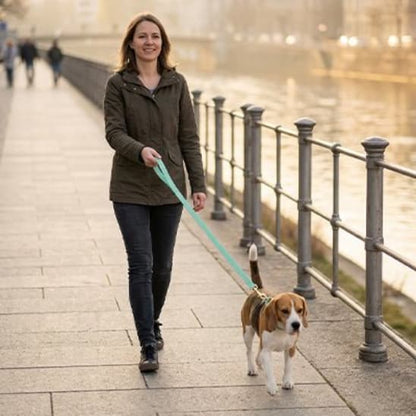 femme promene beagle avec longe chien vert long du fleuve