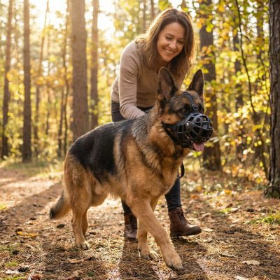 femme promene berger allemand dans foret avec museliere noir