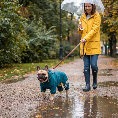 femme promene bouledogue francais sous pluie avec manteau pour chien