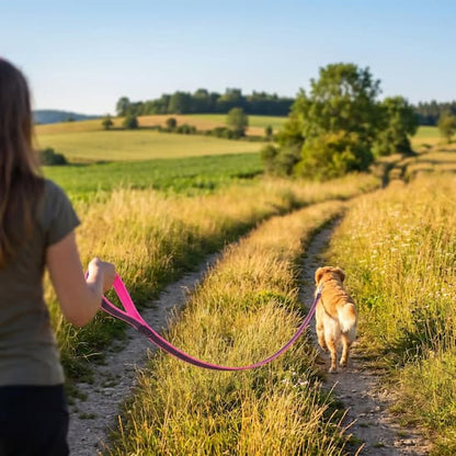 femme promene chien avec longe chien rose campagne