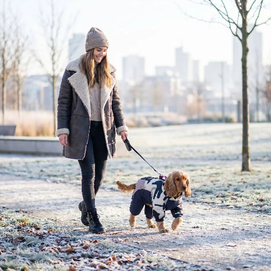 femme promene cocker portant manteau pour chien bleu hiver