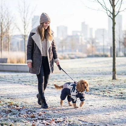 femme promene cocker portant manteau pour chien bleu hiver