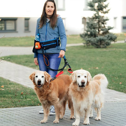 femme promene deux golden avec double laisse pour chien rouge
