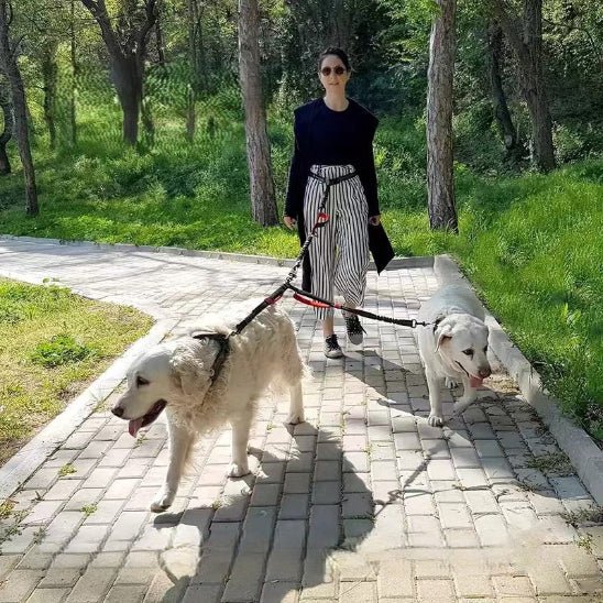 femme promene deux grands chiens parc double laisse pour chien