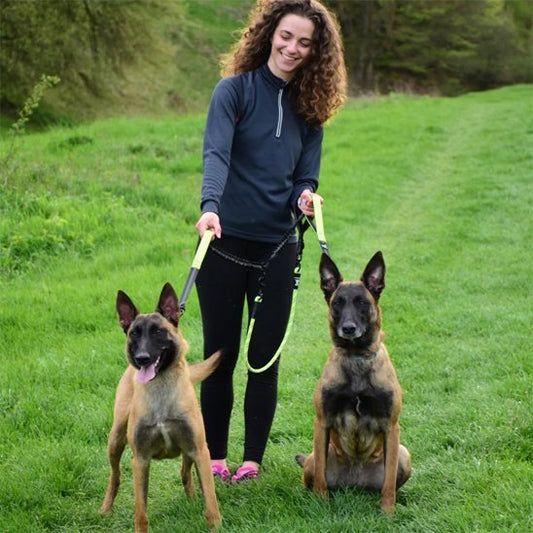 femme promene deux malinois double laisse pour chien vert fluo
