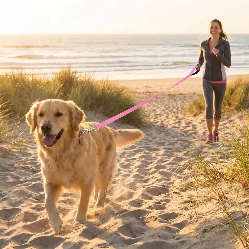 femme promene golden plage avec longe pour chien rose