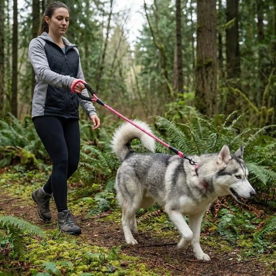 femme promene husky dans foret avec laisse chien rose
