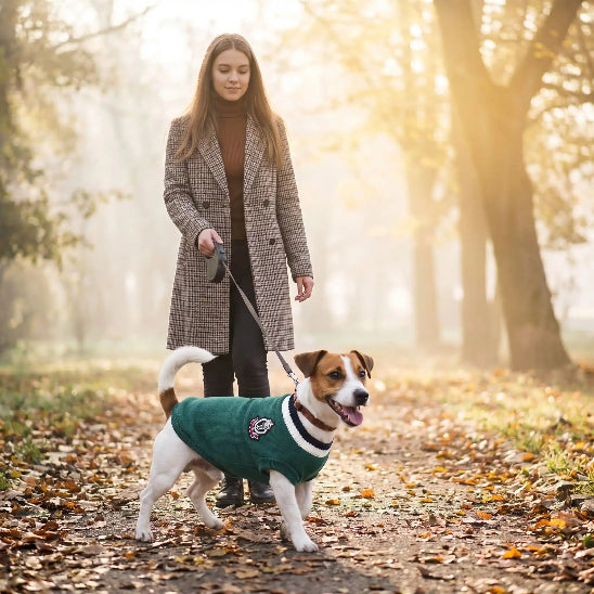 femme promene jack russell portant pull pour chien vert