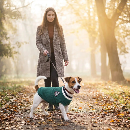 femme promene jack russell portant pull pour chien vert