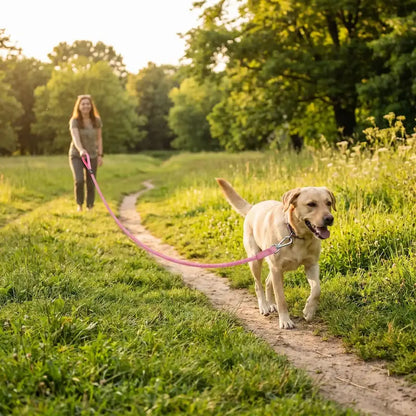femme promene labrador en nature avec longe chien rose