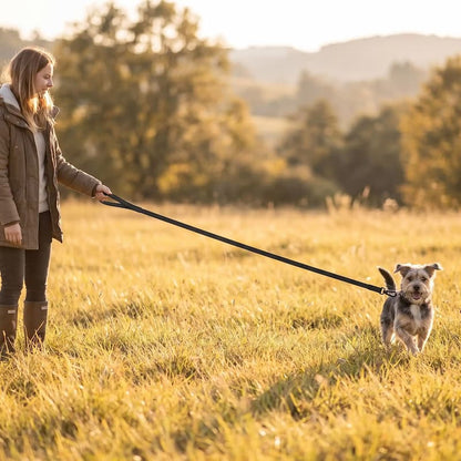 femme promene petit chien longe chien noire champ