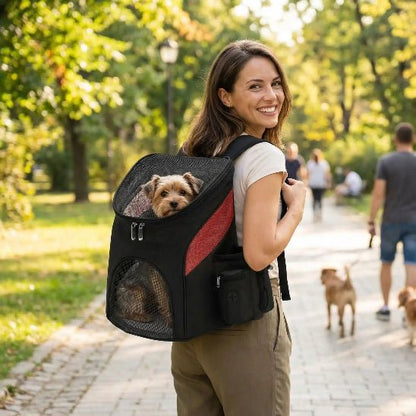 femme promene yorkshire dans sac a dos chien noir