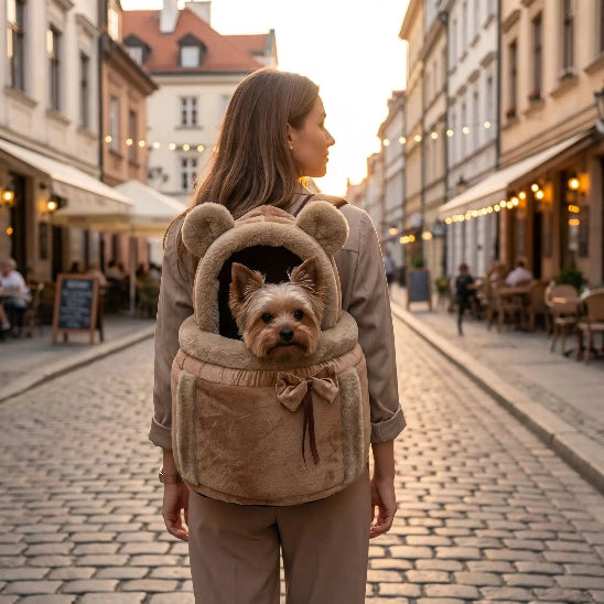 femme promene yorkshire dans sac a dos pour chien marron