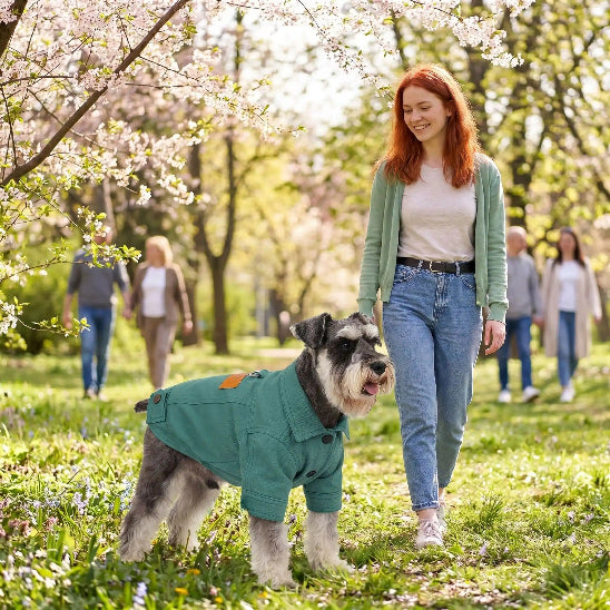 femme rousse promene schnauzer parc printemps avec manteau chien vert