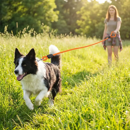 femme tient longe chien orange attachee border collie court herbe