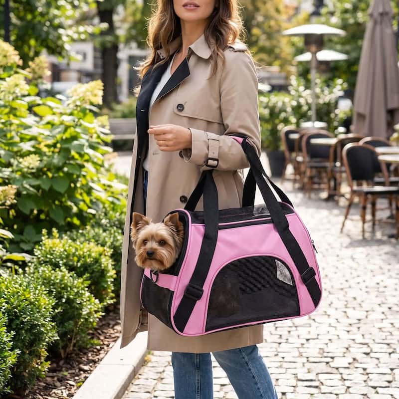 femme transportant yorkshire sac transport pour chien maille respirante