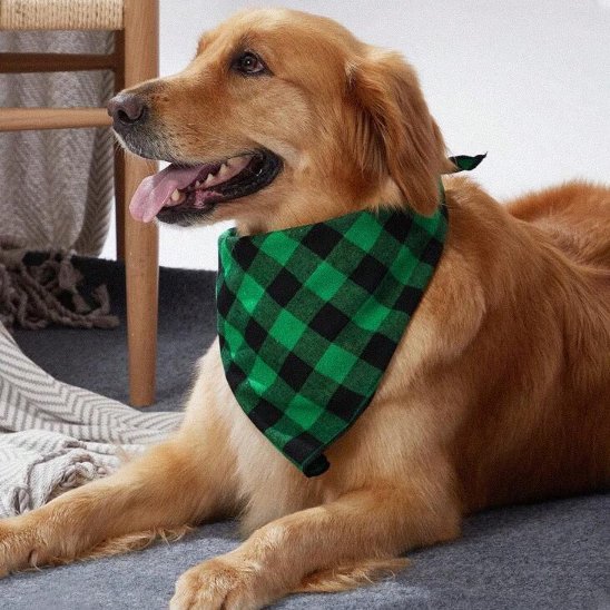 golden allonge bandana chien carreaux vert et noir