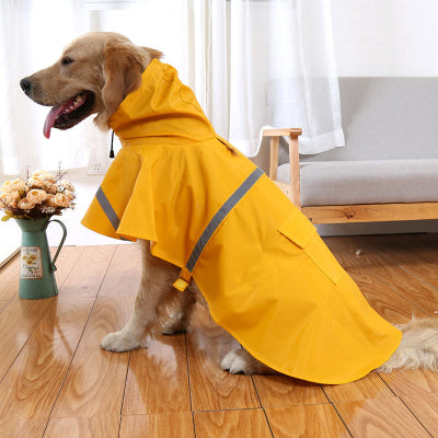 golden assis dans salon avec imperméable pour chien jaune