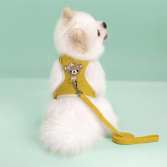harnais petit chien jaune sur chien blanc
