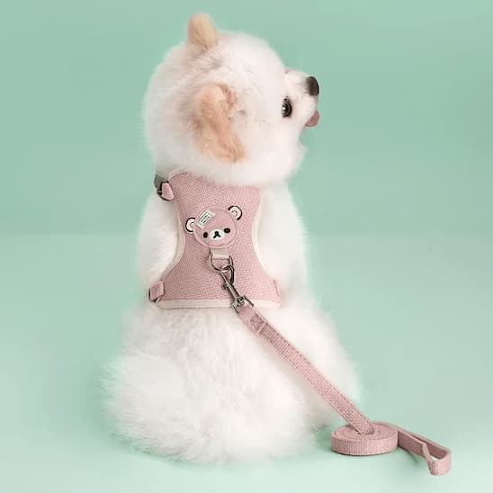 harnais petit chien rose laisse assortie