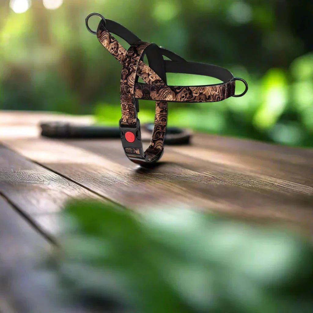 Harnais pour Chien - DogSafeHarness™ - Noir Doré - Elégance Toutou