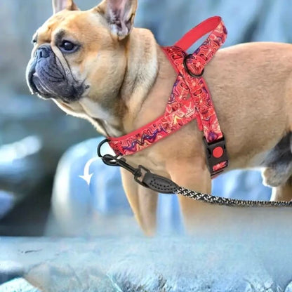 Harnais pour Chien - DogSafeHarness™ - Rouge - Elégance Toutou