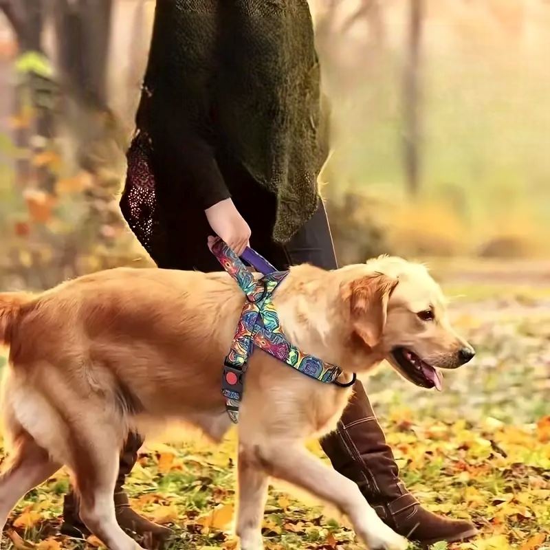 Harnais pour Chien - DogSafeHarness™ - Violet - Elégance Toutou