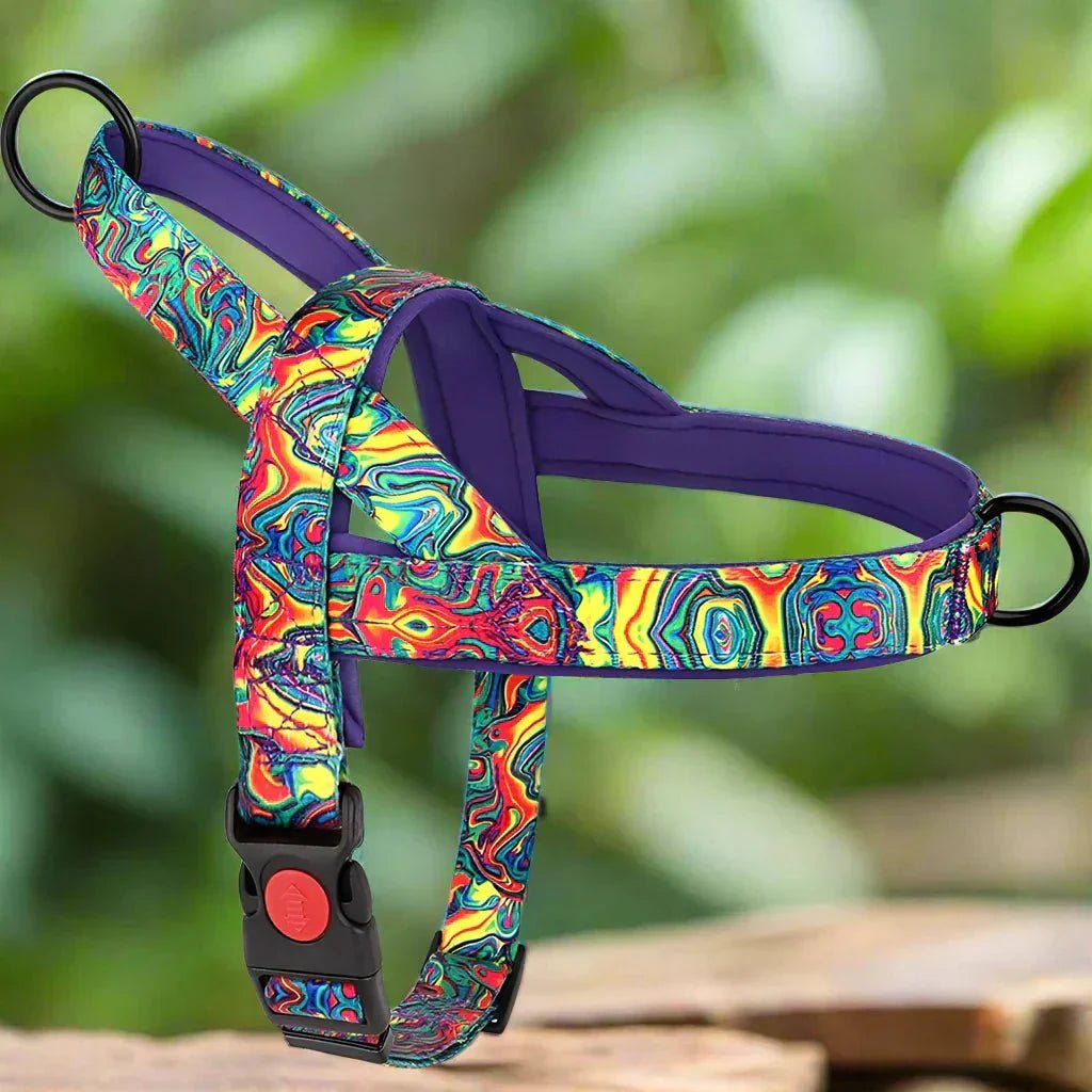 Harnais pour Chien - DogSafeHarness™ - Violet - Elégance Toutou