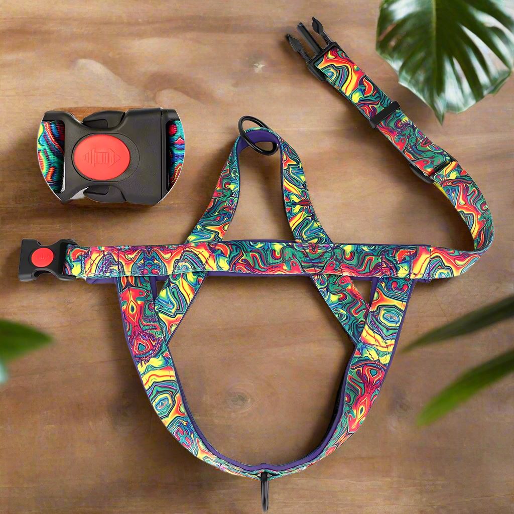 Harnais pour Chien - DogSafeHarness™ - Violet - Elégance Toutou
