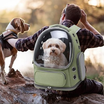homme assis avec chien dans sac a dos pour chien
