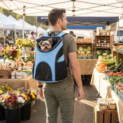 homme au marche avec yorkshire dans sac a dos chien