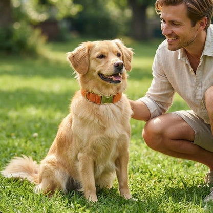 homme caressant chien beige portant collier chien orange velours