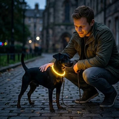 homme caressant petit chien collier chien lumineux rue pavee nocturne