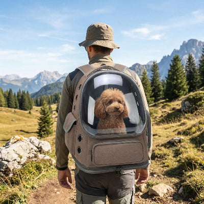 homme fait randonnee caniche dans sac a dos pour chien