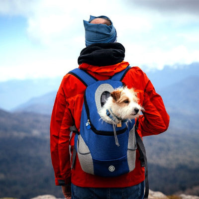 homme fait randonnee chien dans sac a dos chien bleu