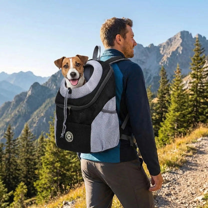 homme fait randonnee jack russell dans sac a dos chien