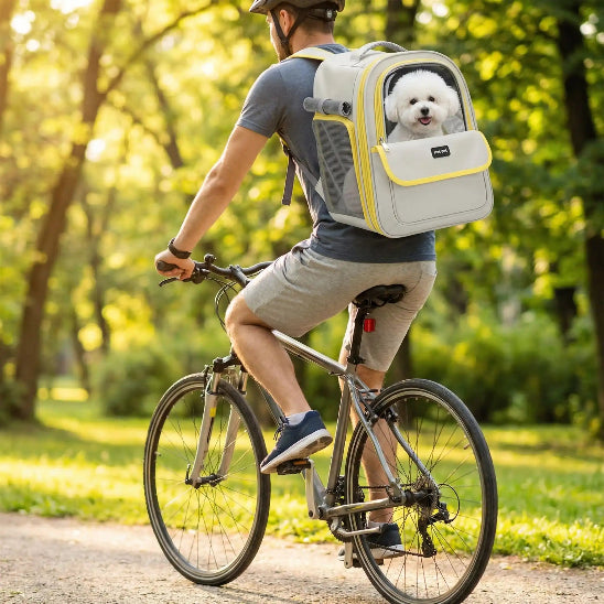 homme fait velo bichon dans sac a dos pour chien