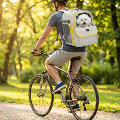 homme fait velo bichon dans sac a dos pour chien