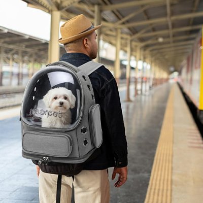 homme gare ferroviaire chien blanc sac a dos pour chien