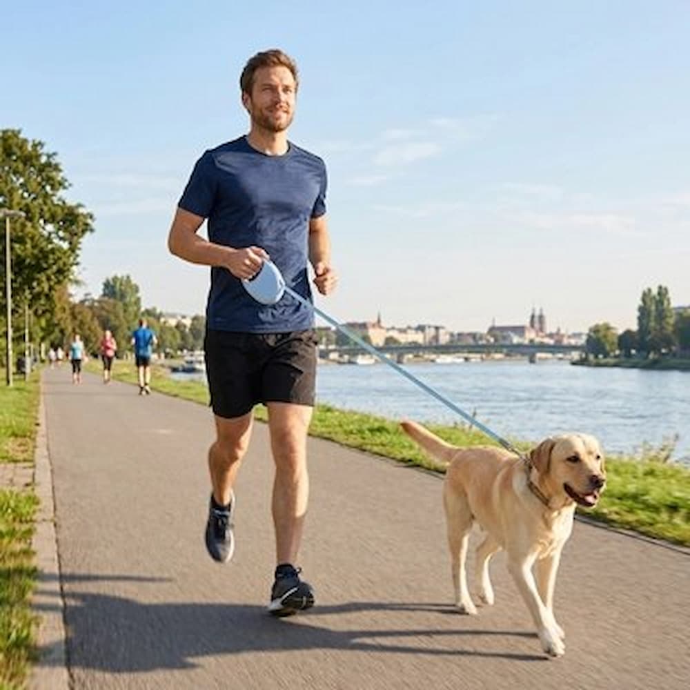 homme joggant avec labrador en laisse pour chien enrouleur