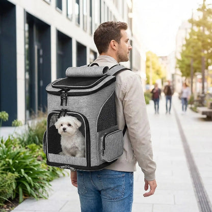 homme marche ville bichon dans sac a dos pour chien