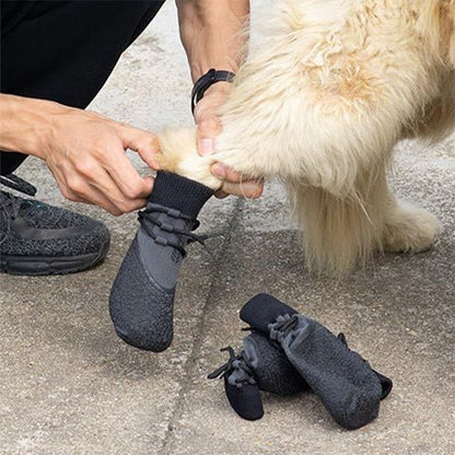 homme met chaussure chien col élastique à un chien