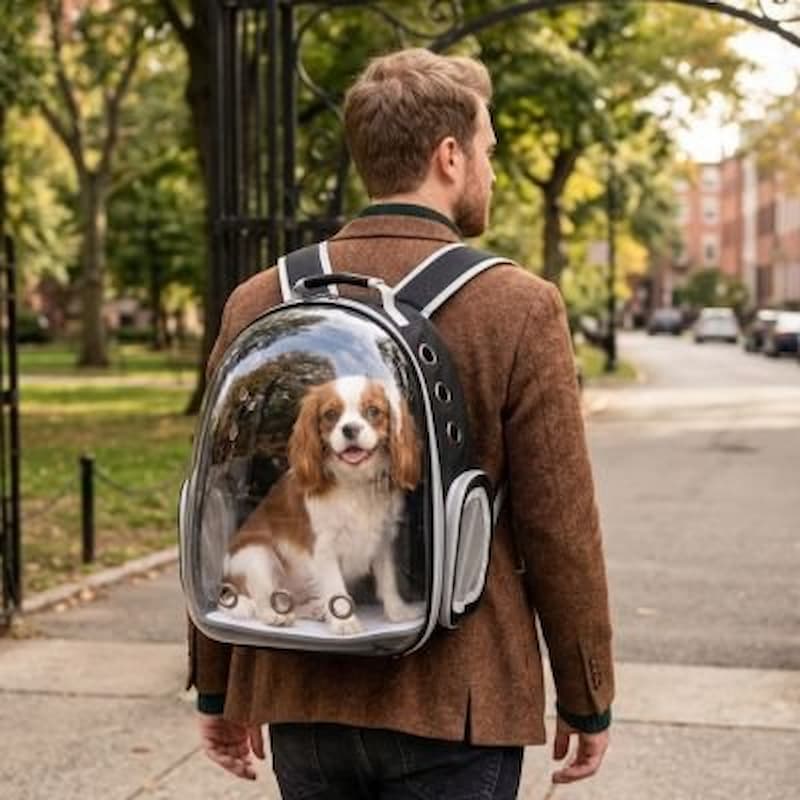 homme portant cavalier king charles sac à dos chien parc