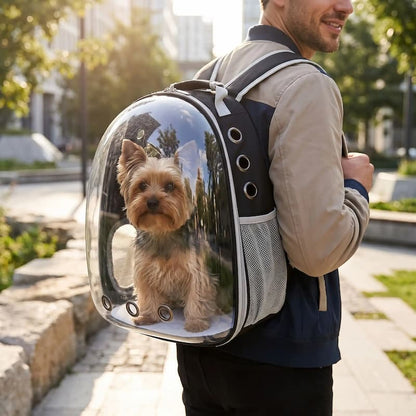 homme portant yorkshire dans sac à dos chien transparent