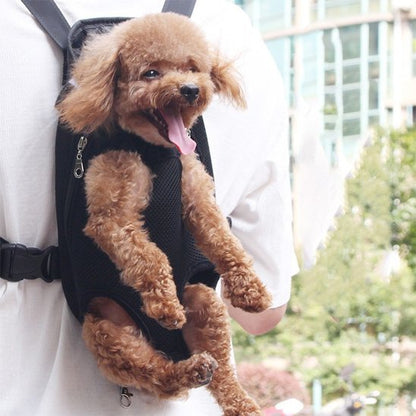 homme porte caniche marron dans sac a dos chien noir