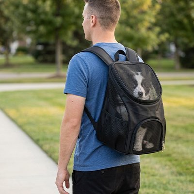 homme porte chien dans sac a dos chien noir parc