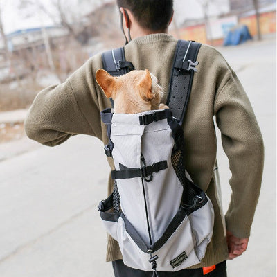 homme porte chien dans sac a dos pour chien gris